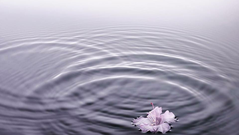 Sensora Spa Lawrence - Day Spa in Lawrence