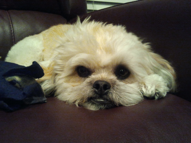 Serenity Now  MED SPA Columbus - Day Spa in Columbus