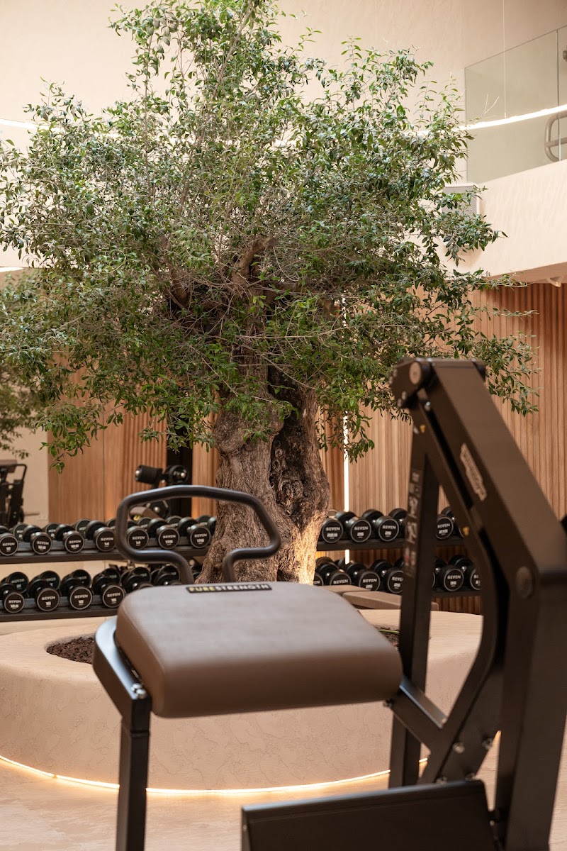 SEVEN Wellness Club Ibiza - Medical Spa in Ibiza