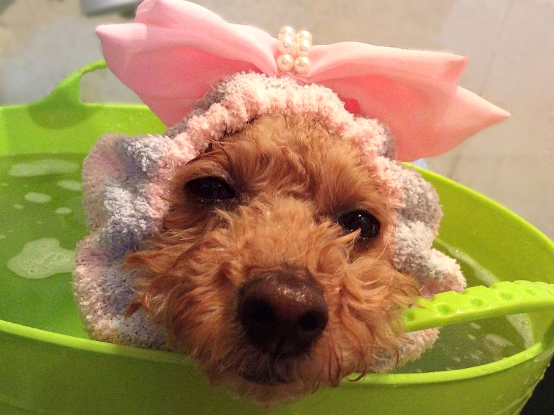 Higashi Osaka City seventh heaven - Day Spa in Higashi Osaka City