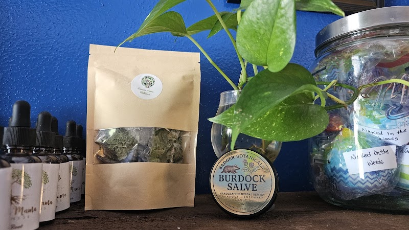 Shaman Mama Wellness Madison - Wellness Retreat in Madison