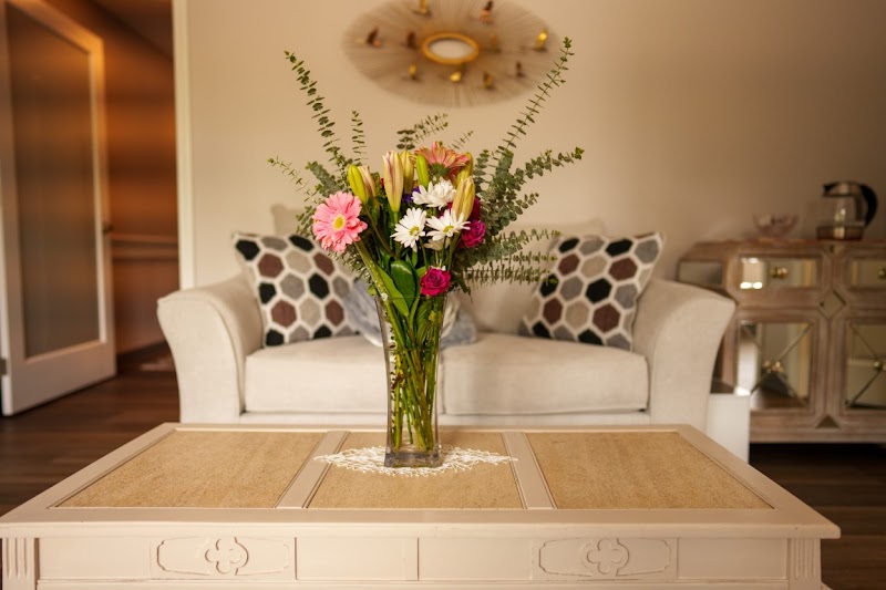 Shelly Skincare and Spa Bloomfield Hills - Day Spa in Bloomfield Hills