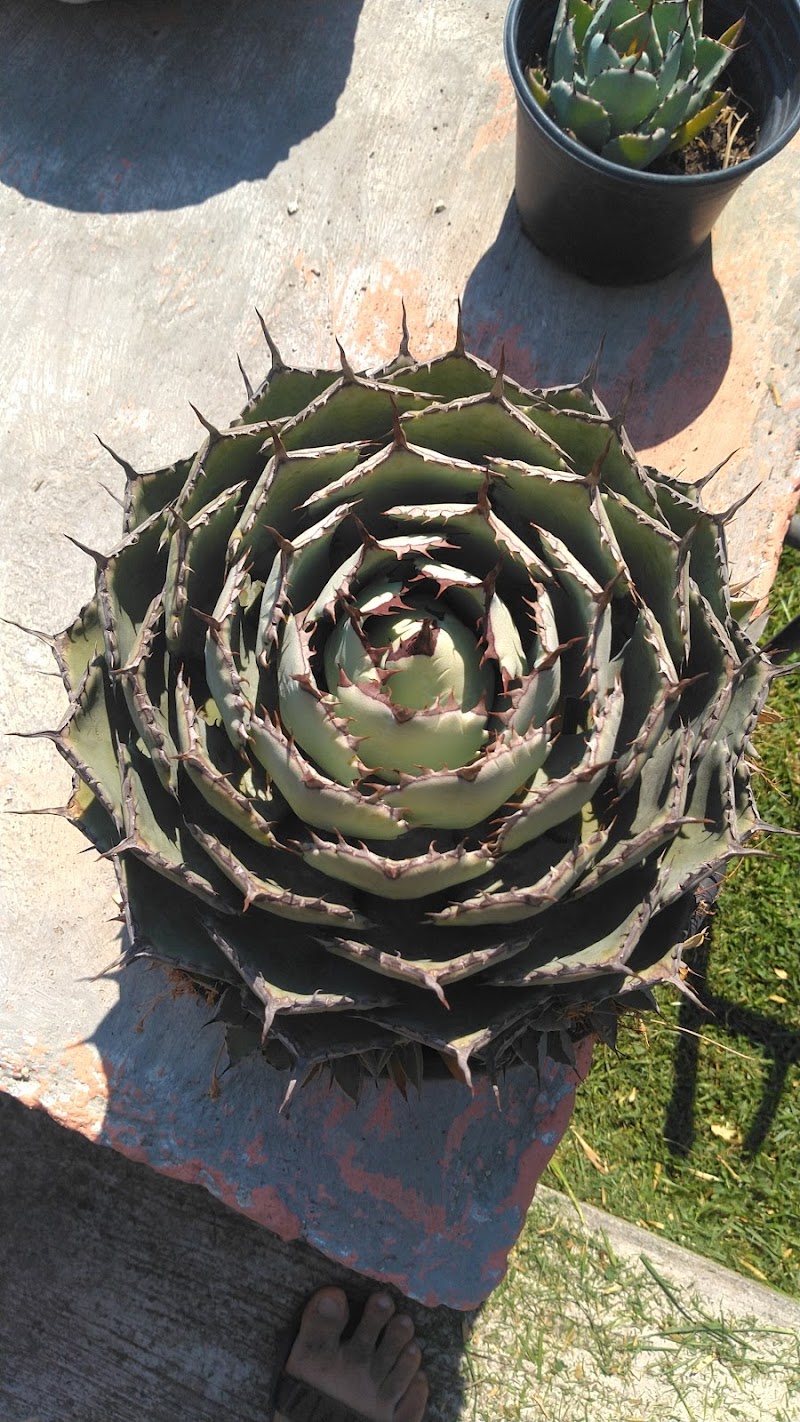 Shikoba Home Santa Lucía - Day Spa in Santa Lucía