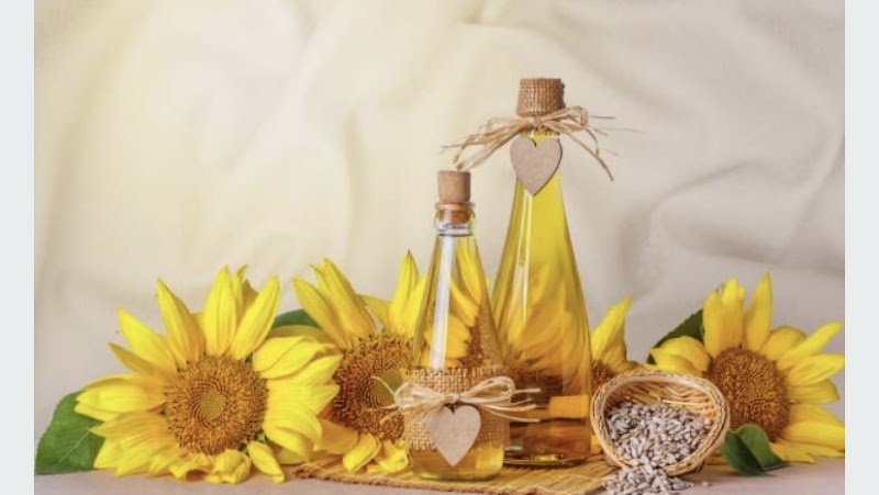 Shinkyu Salon Ruce Koto City - Day Spa in Koto City