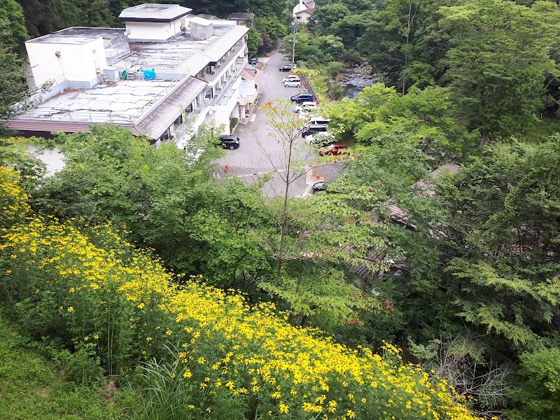 Shiobara Onsen Kawasaki Daishi Yakuyoke Fudoson Nasushiobara - Thermal Spa in Nasushiobara