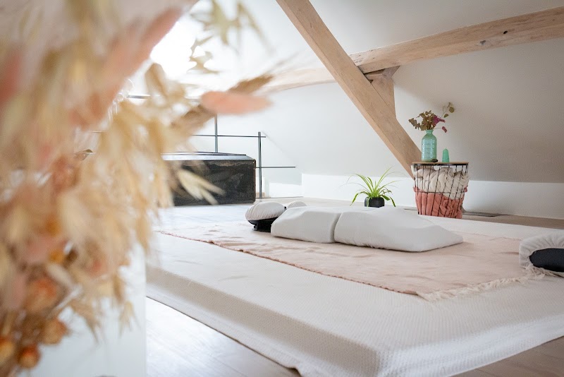 ShiTouch - Shiatsu voor paarden Hoogstraten