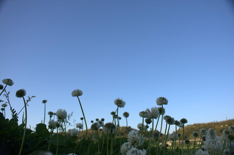 Shiyokan Satsuma District, Satsuma Town - Day Spa in Satsuma District, Satsuma Town