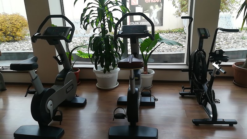 Silhouette Fitness and Spa Shumen - Day Spa in Shumen