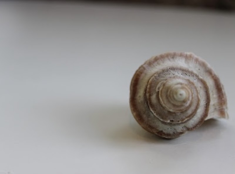 Simple Indulgence Spa Sarnia - Day Spa in Sarnia