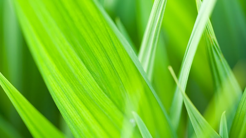 Sinequanon Huntington - Day Spa in Huntington