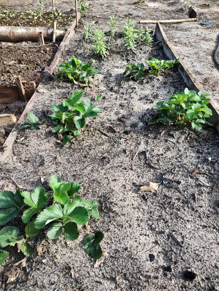 Sitio Dos Oriundos Itacaré - Day Spa in Itacaré