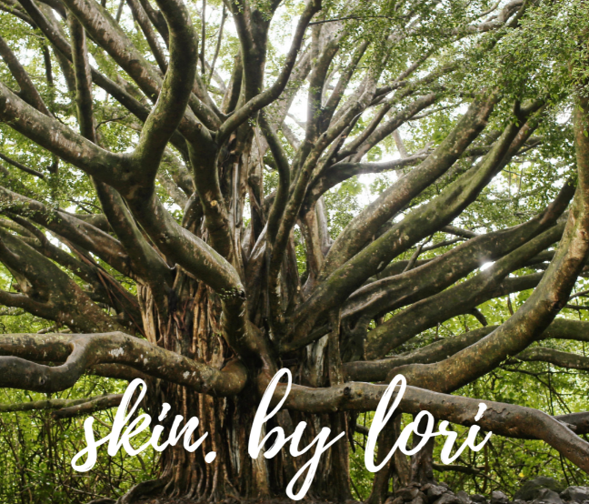 Skin. By Lori Kingsport - Day Spa in Kingsport