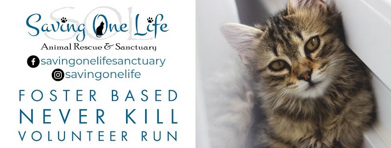 Skin Rescue AZ Tempe - Day Spa in Tempe