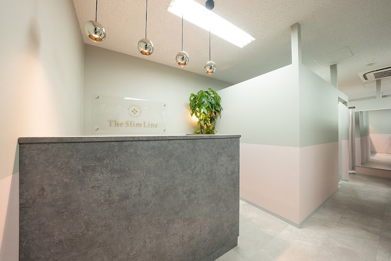 Slimming Diet & Small Face HIFU Specialty Store Slimline Akita City - Day Spa in Akita City