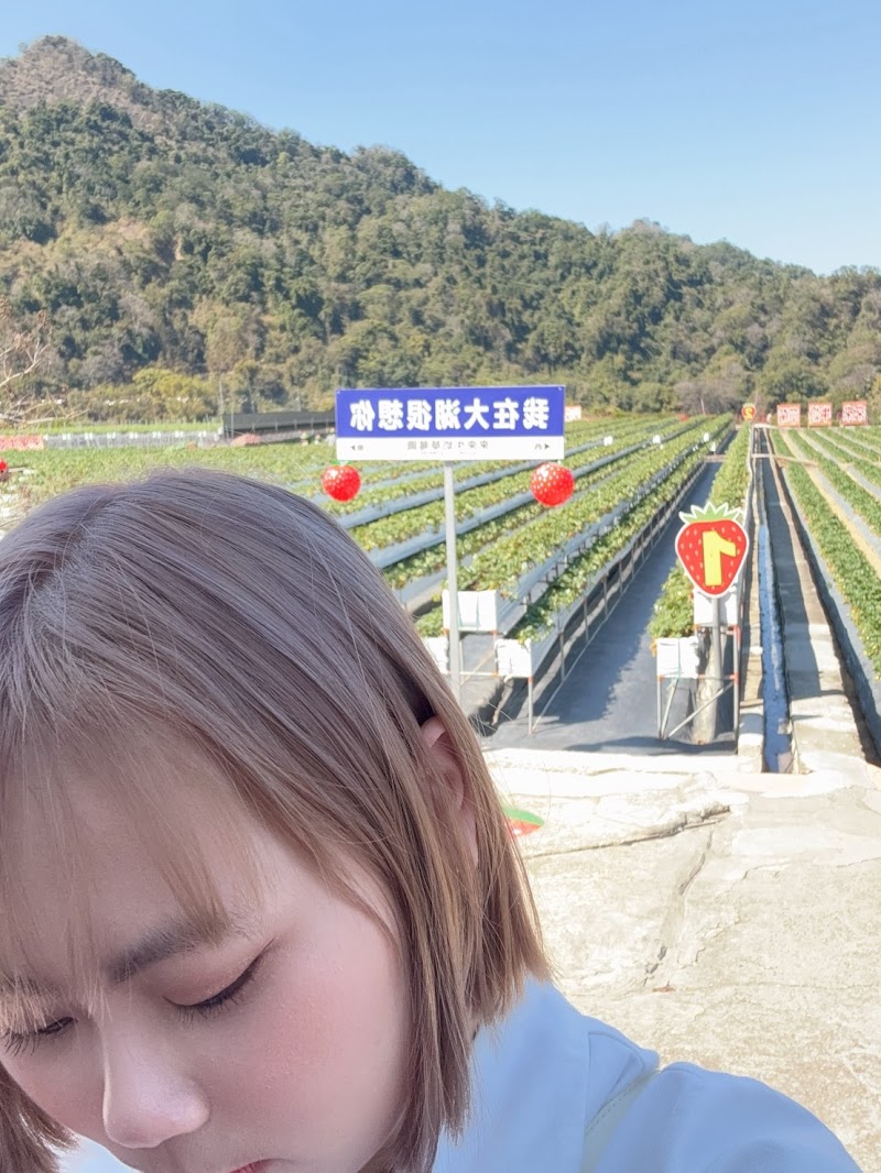 Smile Lisa Beauty Salon Changhua City - Day Spa in Changhua City