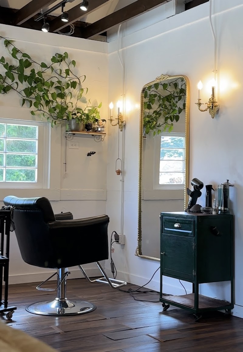 Snapdragon Salon and Spa Indianapolis - Day Spa in Indianapolis