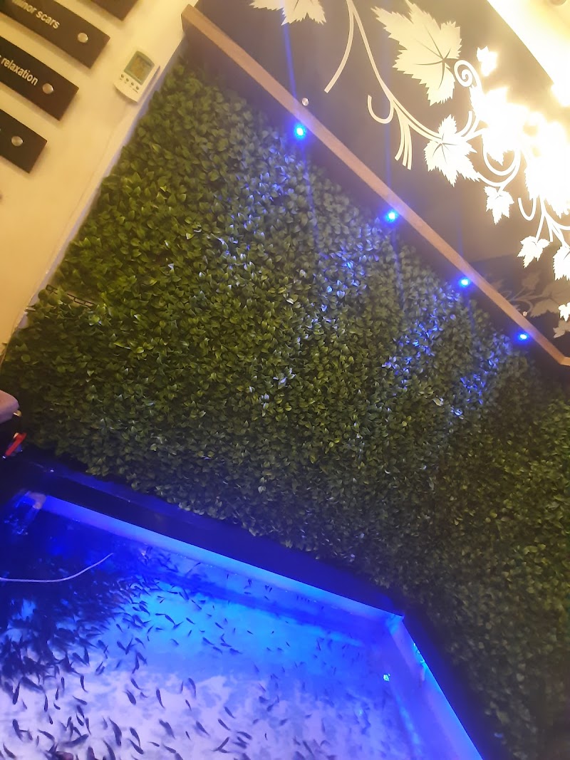 Snigdha Meditech Vijayawada - Day Spa in Vijayawada