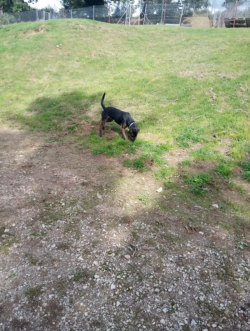 Société Protectrice des Animaux Sainte Radégonde - Day Spa in Sainte Radégonde