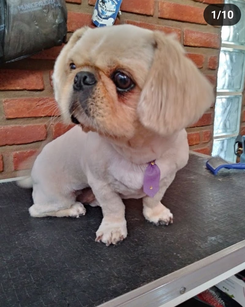 Sol & Brisa - Spa Canino Villa del Totoral - Day Spa in Villa del Totoral