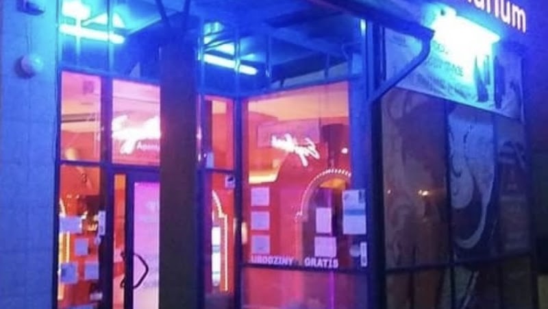 Solarium Piramida Wibrobieżnia Rollmasaż Bydgoszcz - Day Spa in Bydgoszcz