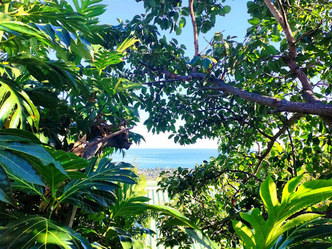 Solkyna Institut Saint-Paul