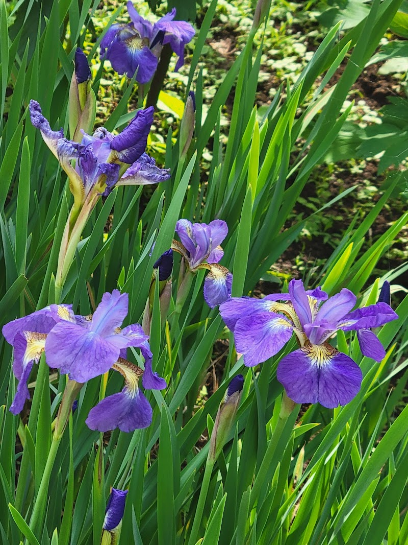 Sowan Saki Machida City - Day Spa in Machida City