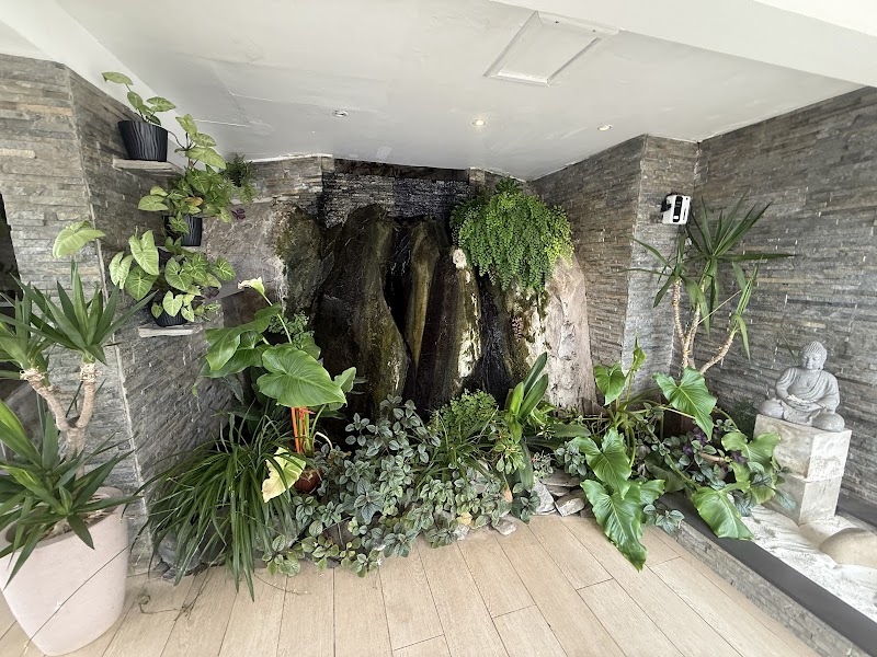 Spa and Wellness Dr Roy Sothers Viña del Mar - Wellness Retreat in Viña del Mar