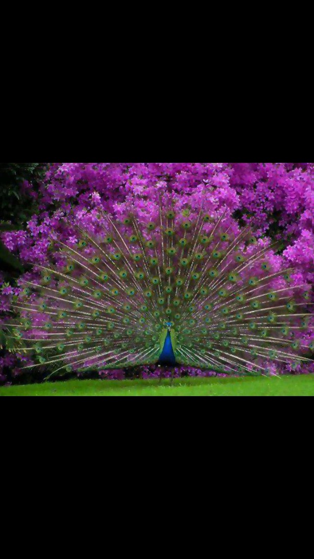 Spa At 920 Laurens - Day Spa in Laurens