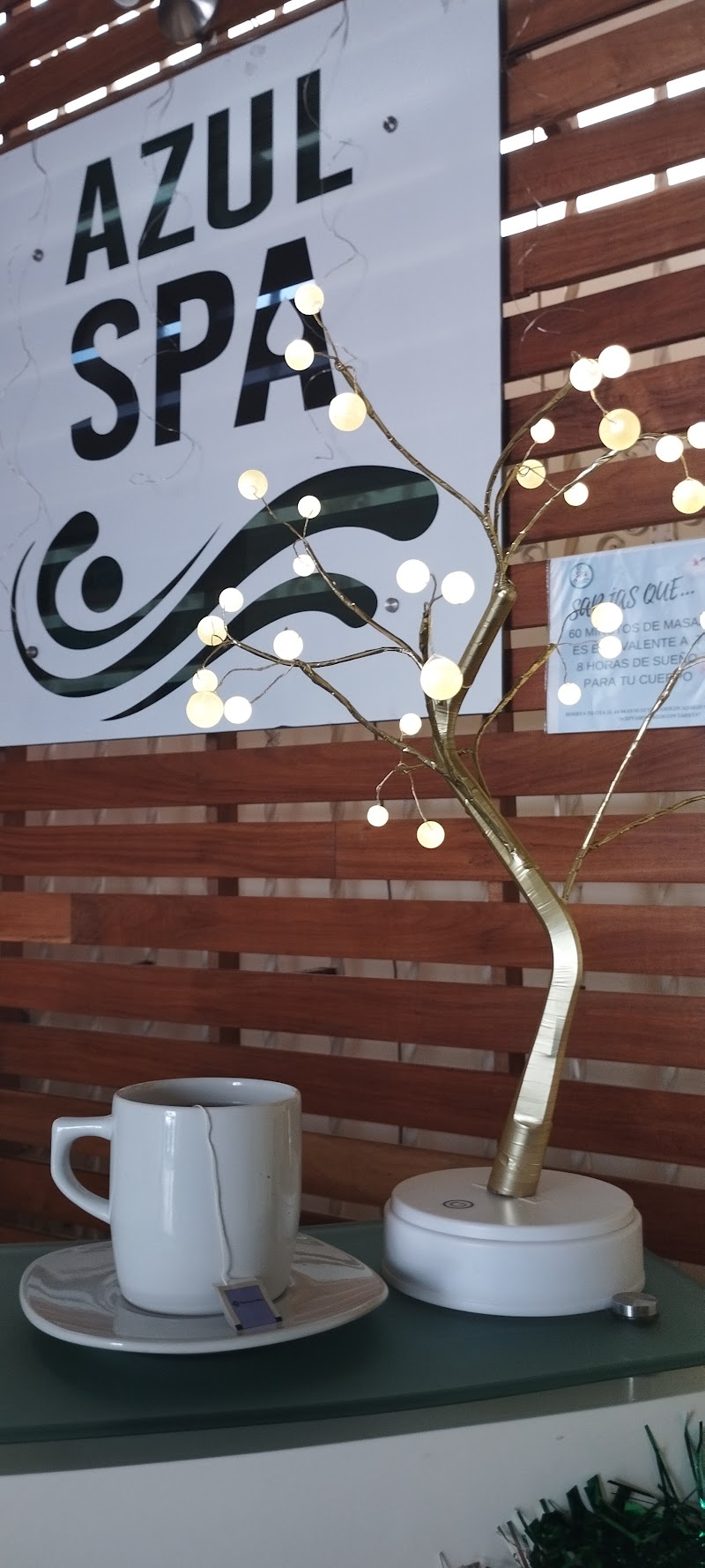 Spa Azul Laguna Ciudad Lerdo - Day Spa in Ciudad Lerdo