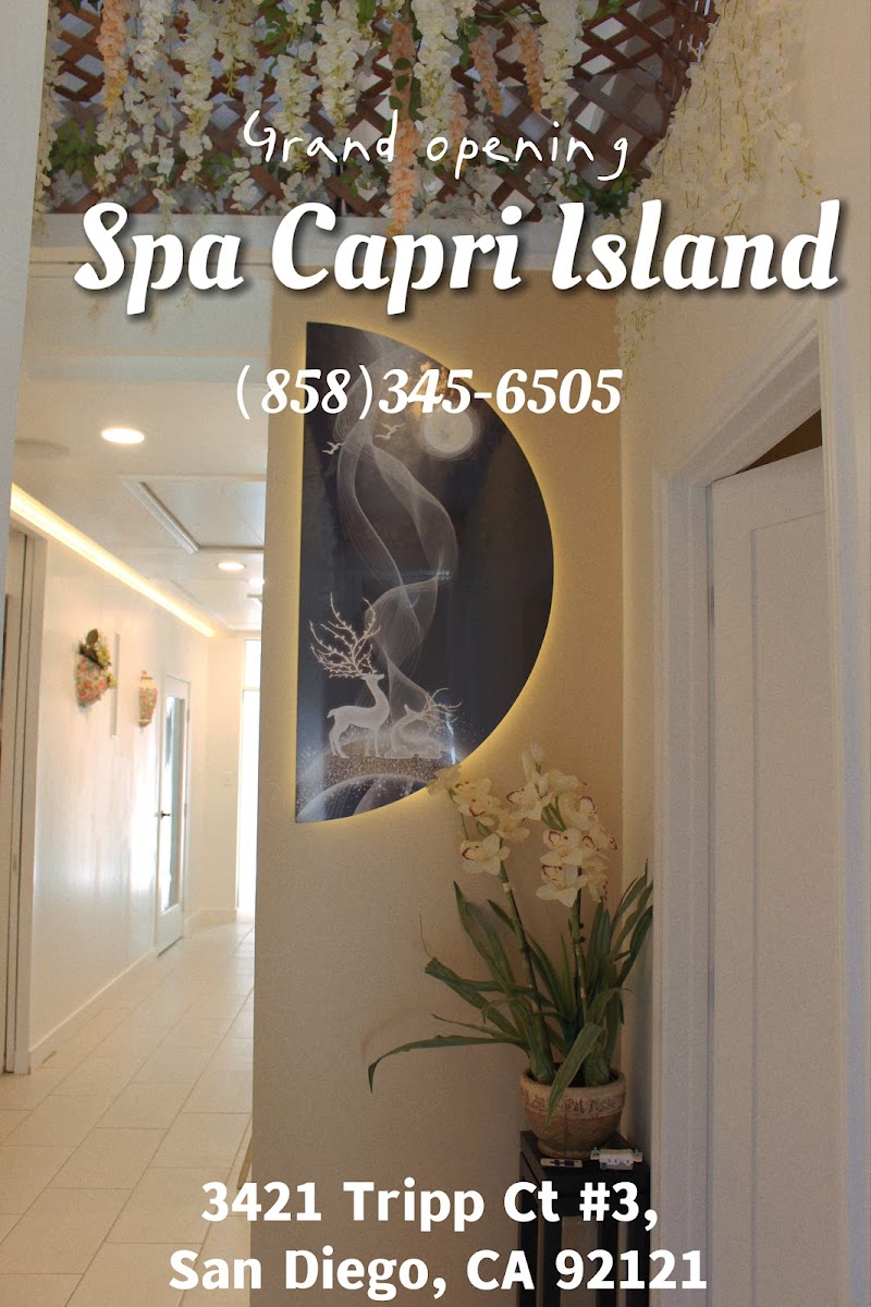 Spa Capri Island - Medical Spa in Capri