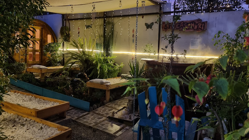 Spa casamuri Villa Alemana