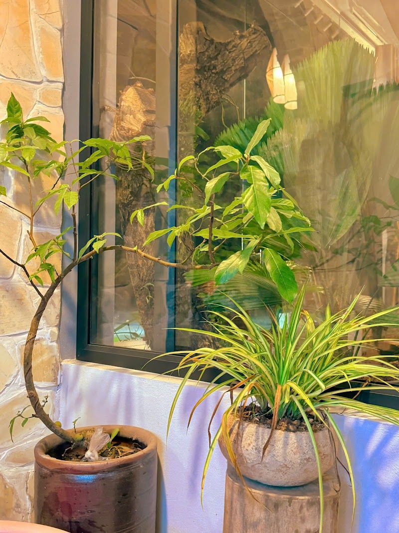 Spa Chuyên Phạm Ninh Bình - Day Spa in Ninh Bình