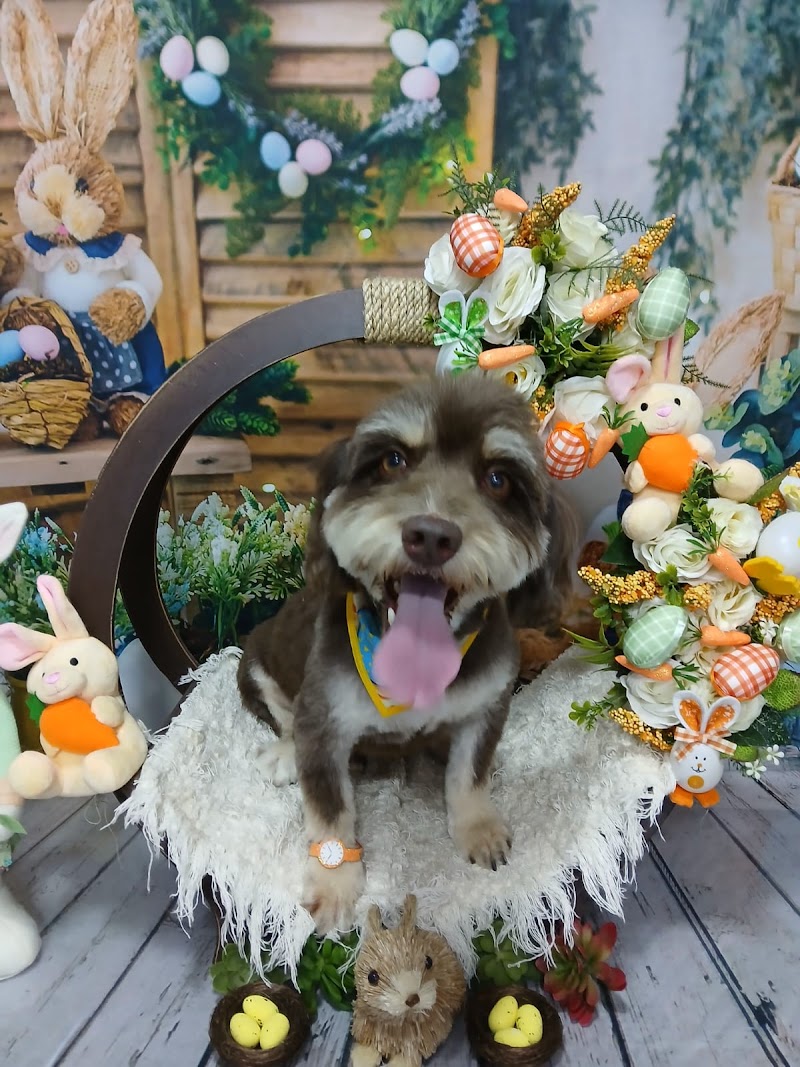 Spa da Nany São João de Meriti - Day Spa in São João de Meriti