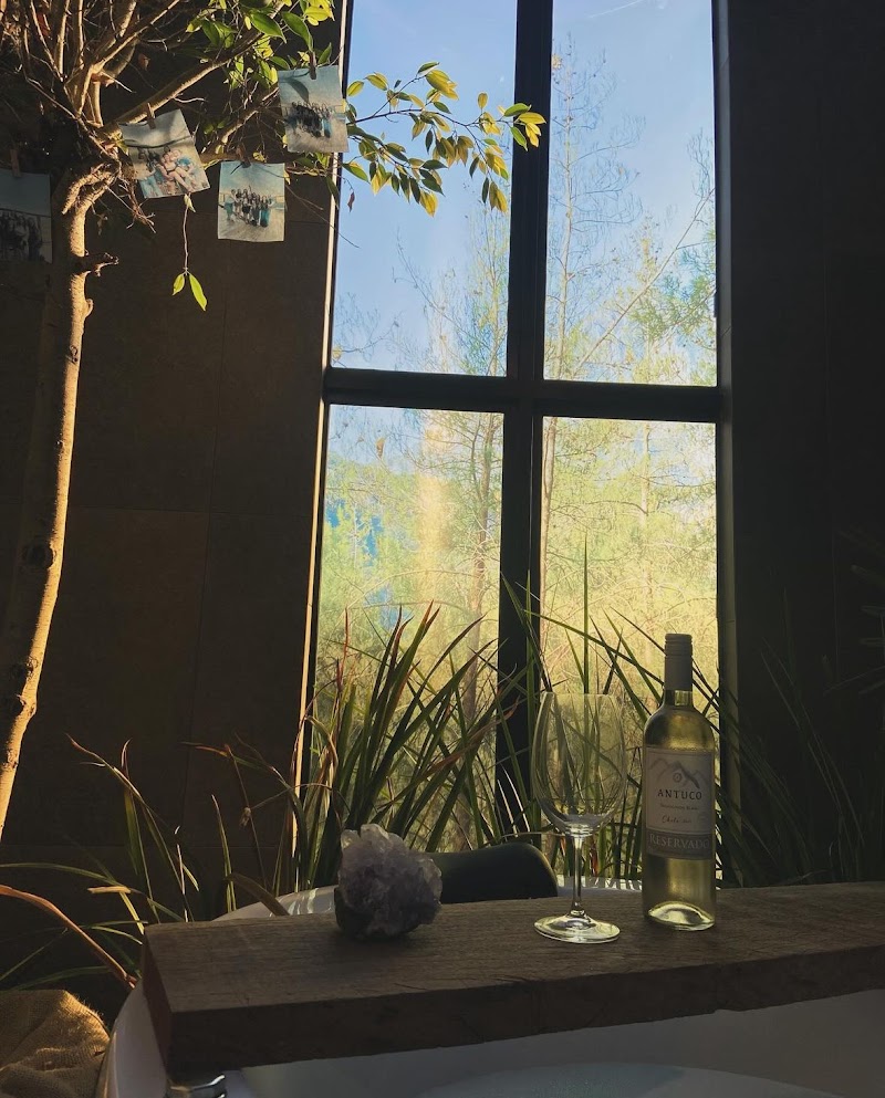 Spa de Beleza Moa Paim Ivoti - Day Spa in Ivoti