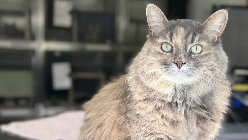 SPA de Québec Quebec City - Day Spa in Quebec City