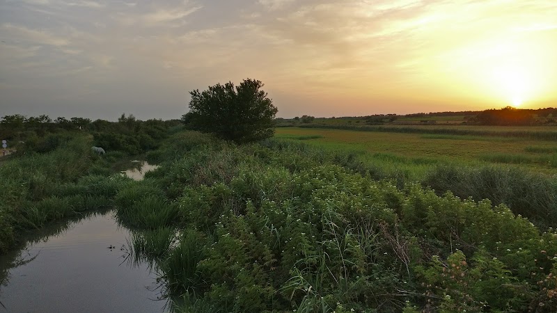 Beauvoisin spa des templiers - Day Spa in Beauvoisin