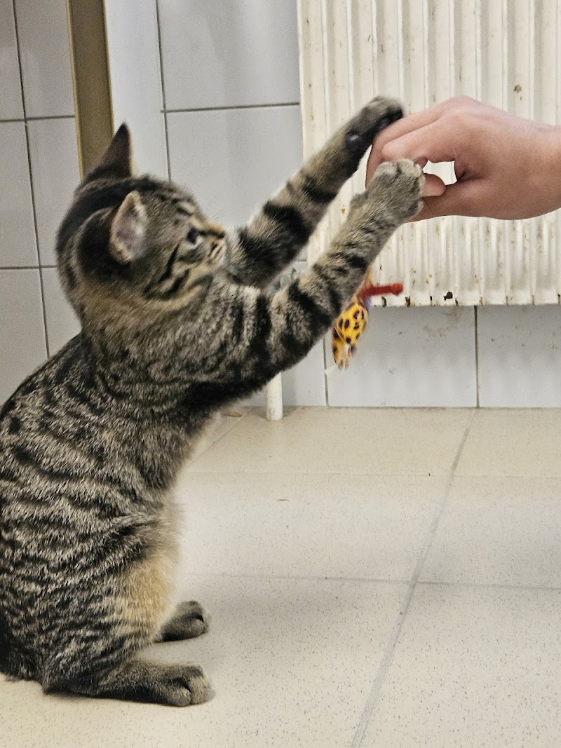 SPA du Centre Lailly-en-Val - Day Spa in Lailly-en-Val