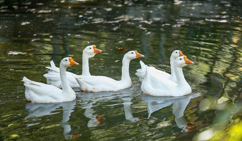 Spa Fazenda Igaratá - Day Spa in Igaratá