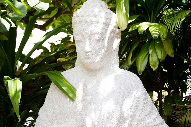 Spa Natural Center by Flavio Acuña Punta Cana