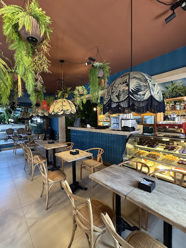 Spa Neptuno Concepción photo