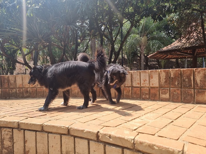 Spa Pet Park São Caetano do Sul - Day Spa in São Caetano do Sul