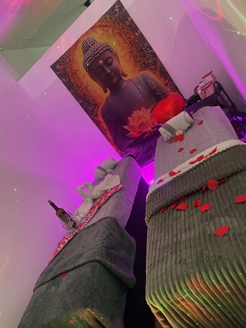 SPA PIEL DE ORO PTY Panama City