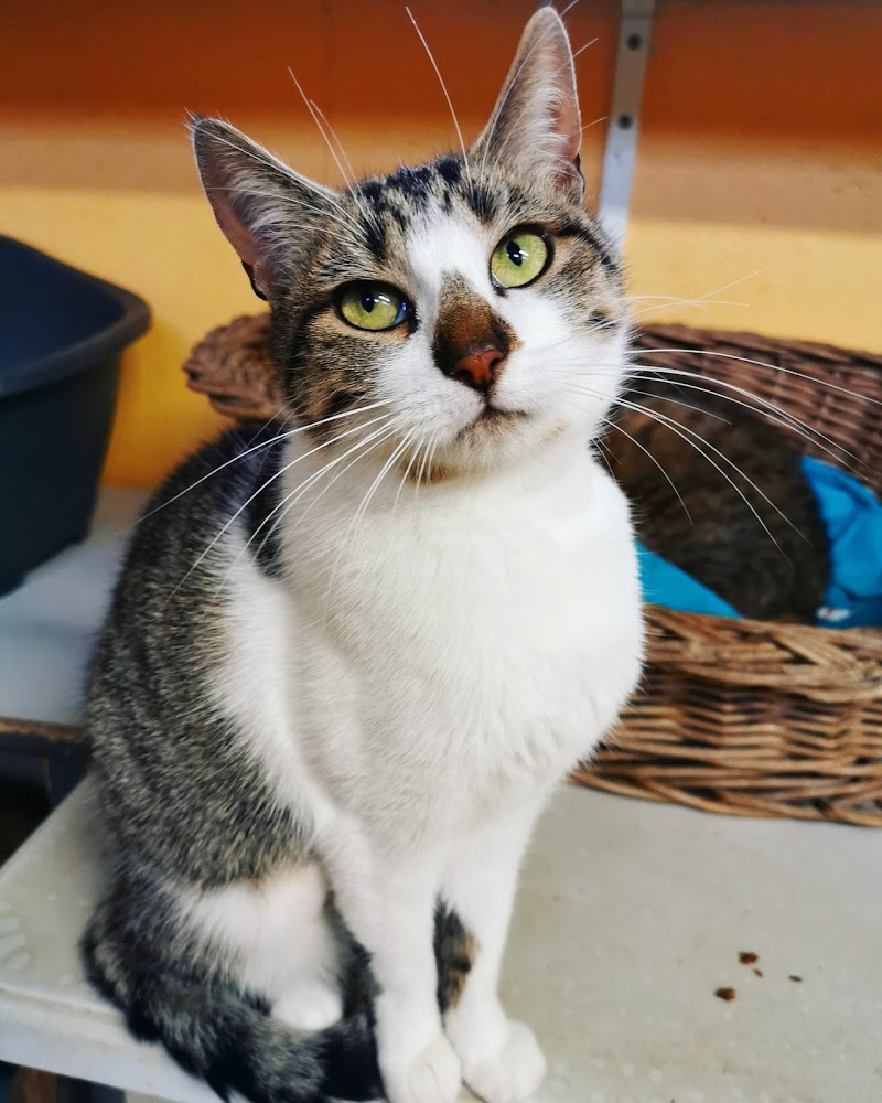 SPA Refuge de Cathy (55) Bar-le-Duc - Day Spa in Bar-le-Duc