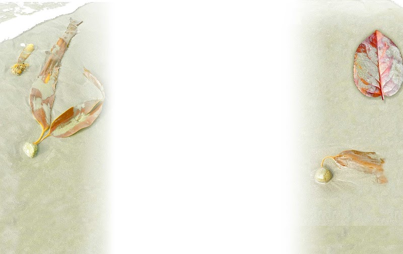 Spa Space Victoria photo