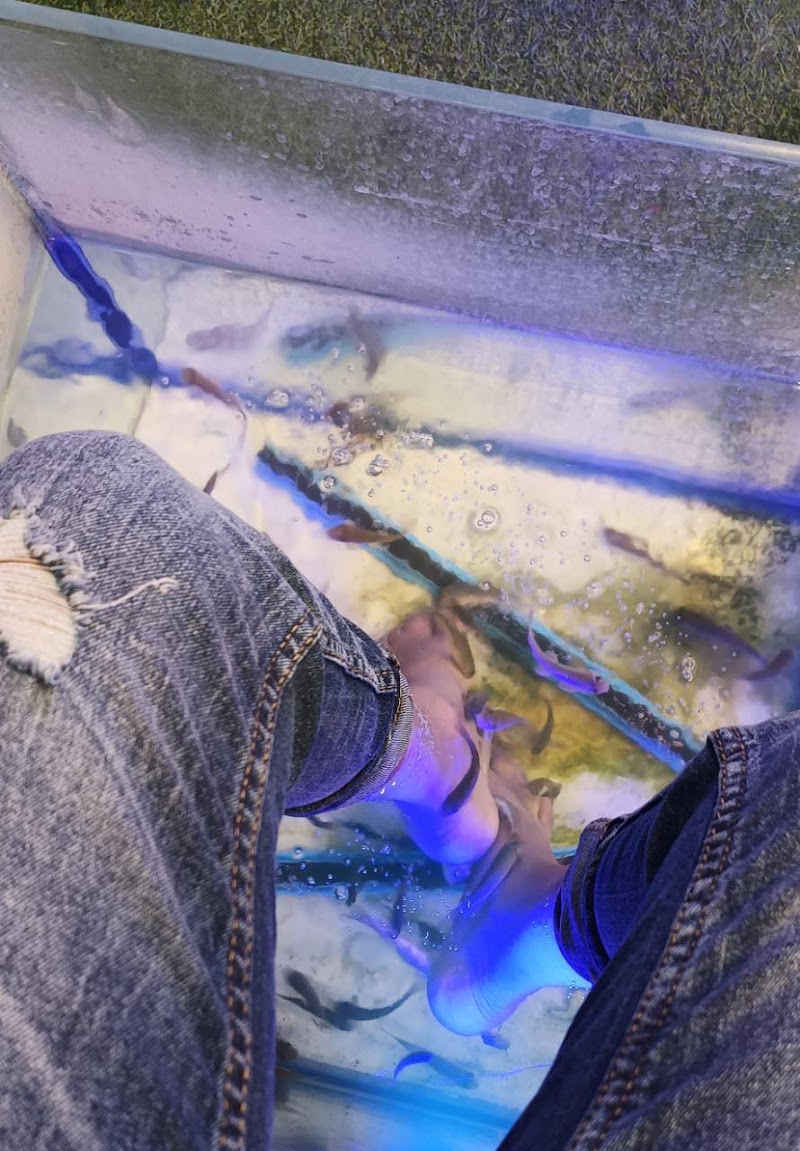 Spaqua (Fish Spa Station) Kolkata - Day Spa in Kolkata