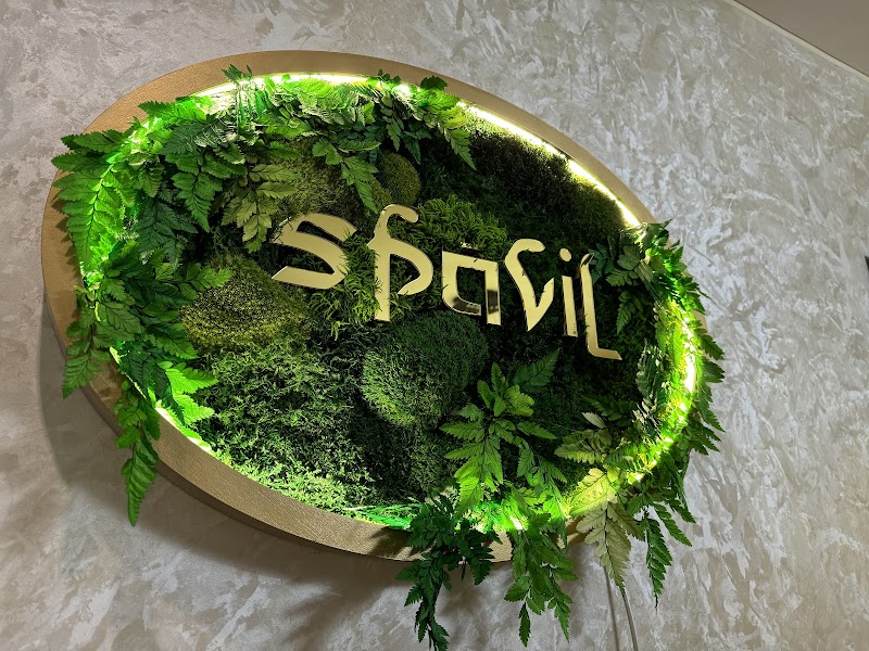 Spavil Zheleznodorozhny - Day Spa in Zheleznodorozhny