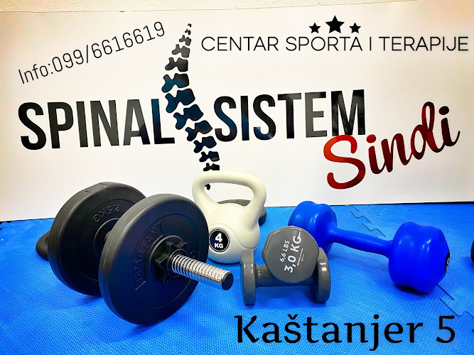 Spinal sistem Sindi Pula