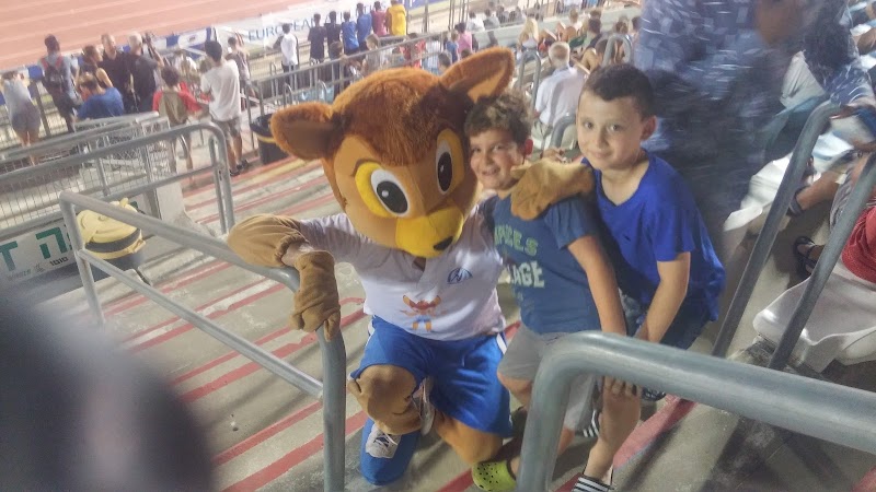 Sports and Medicine Services - sms4sport Tel Aviv - Jaffa - Day Spa in Tel Aviv - Jaffa