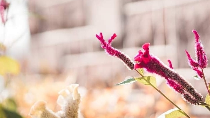 Stacie Gembe, LMT Harrisburg - Day Spa in Harrisburg