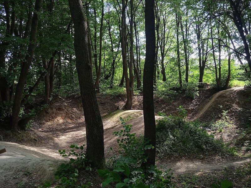 Step Forward Ivano-Frankivsk - Day Spa in Ivano-Frankivsk